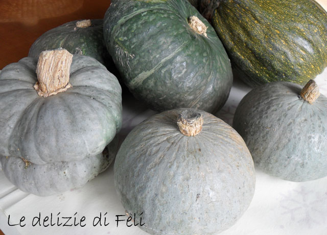 zucche delica grigia