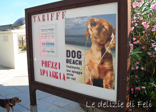 Spiaggia per cani