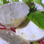 Veg-mozzarella